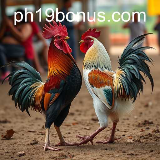 The Intricate World of Cockfighting: Tradition Versus Ethics